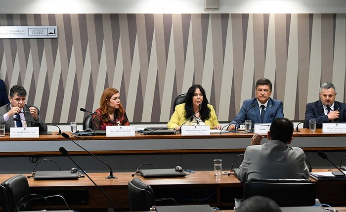 Senadores Rose de Freitas e Carlos Viana comandam reunião da CPI de Brumadinho