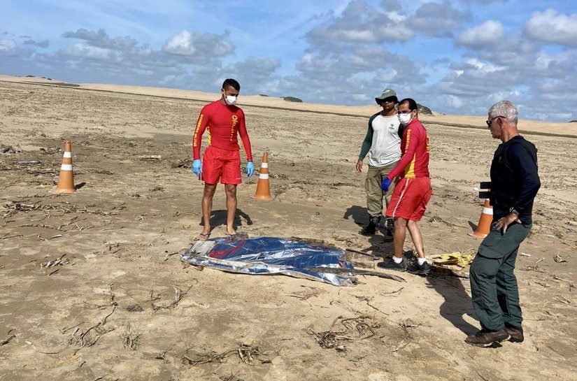 IML de Arapiraca confirma identidade de criança encontrada em praia de Piaçabuçu