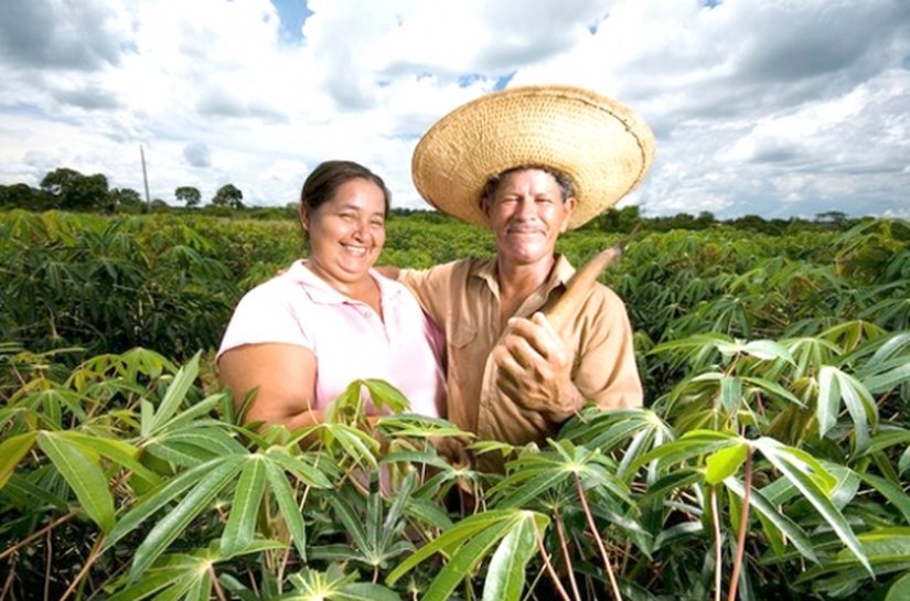 Autorizado pagamento do Garantia-Safra para mais de 11 mil agricultores de AL