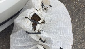 SACO DE MACONHA