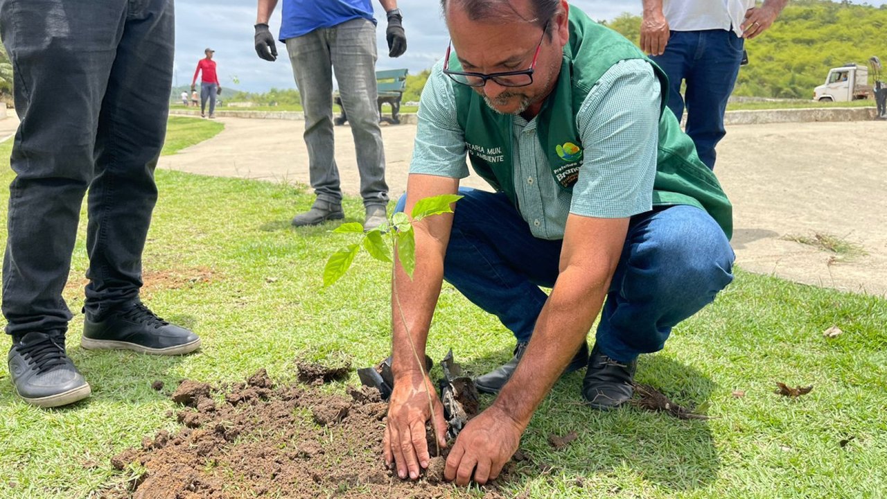 Meio Ambiente de Branquinha amplia projeto de arborização com plantio de novas mudas