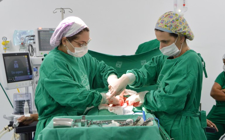 Sesau anuncia novos leitos materno e infantis para assegurar assistência às gestantes em Maceió