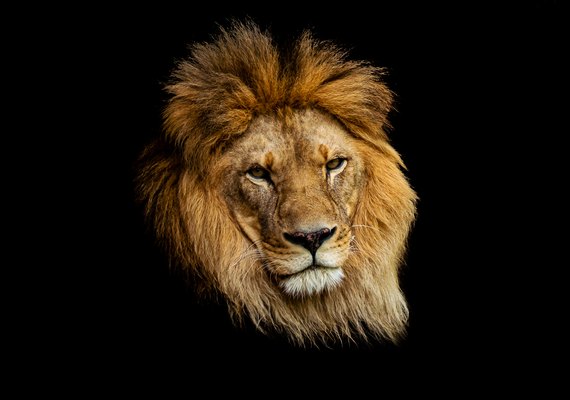 Imposto de Renda 2022: lembre quais são os gastos dedutíveis para declaração