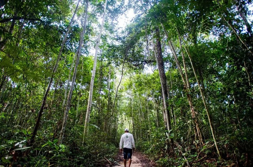 Agricultores que conservaram a floresta começam a receber R$ 2,2 milhões do Projeto Floresta+ Amazônia