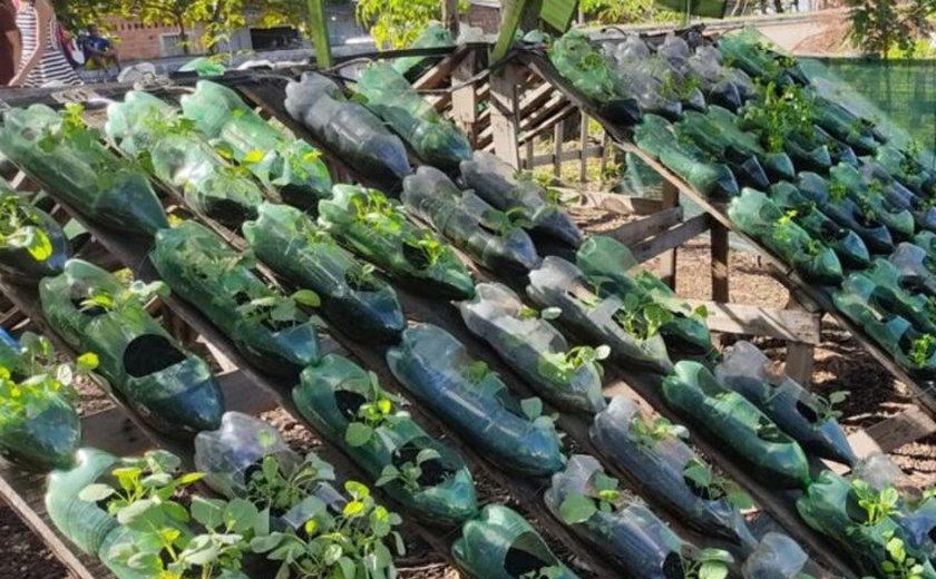 Dia da Biodiversidade: Sedics celebra o fortalecimento da sustentabilidade em Alagoas