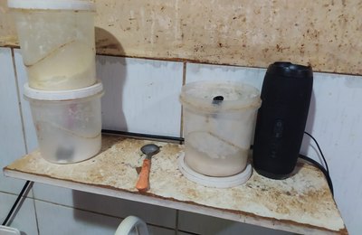Vigilância interdita lanchonete por descumprimento de normas sanitárias