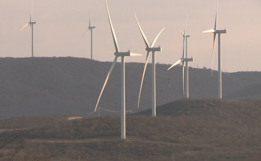 Cáritas Brasileira realiza exposição sobre impactos da energia eólica