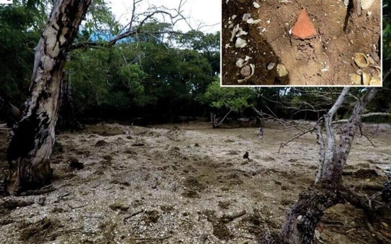 É possível construir uma ilha a partir de restos de comida? Cientistas dizem que sim
