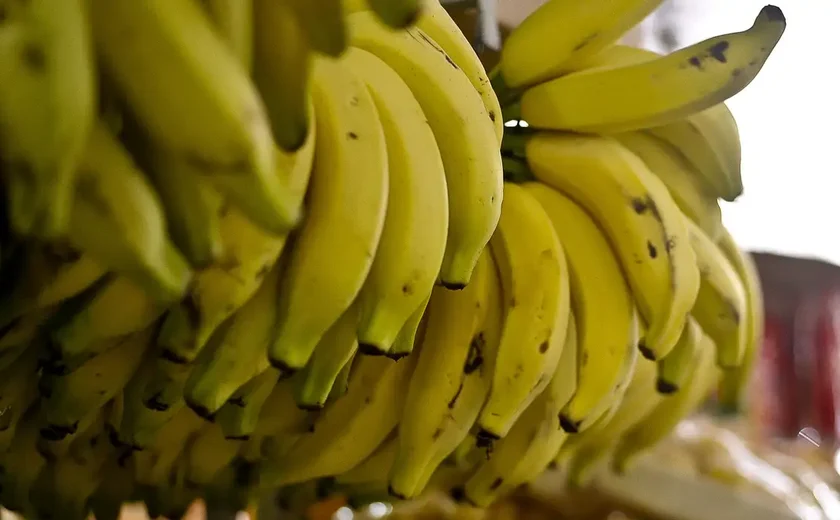 Como uma banana com fita adesiva se valorizou a ponto de ser vendida como arte a R$ 8,7 milhões