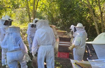 Programa Pescadores do Mel capacita mais de 20 pessoas nos Flexais e Coqueiro Seco