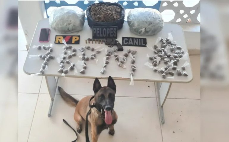 PM apreende quatro quilos de maconha e revólver em transporte alternativo; quatro detidos