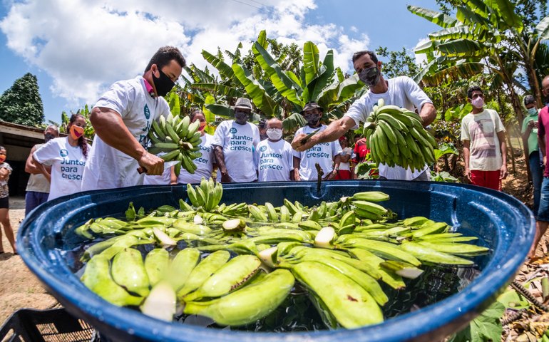 Trabalhadores rurais têm direito a desconto na tarifa de energia em Alagoas