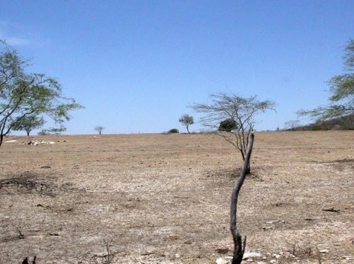 Alagoas recebe seminários para atualização do Plano Estadual de Combate à Desertificação