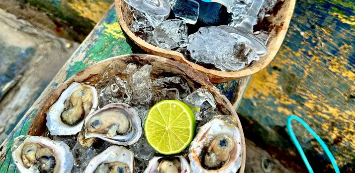 Descubra a Reserva da Palatéia