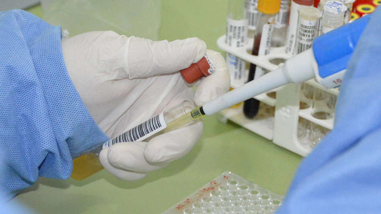 Sesau segue monitorando casos de Febre do Oropouche em Alagoas