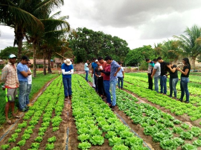 Estudantes de Agronomia visitam produtores de hortaliças de Arapiraca