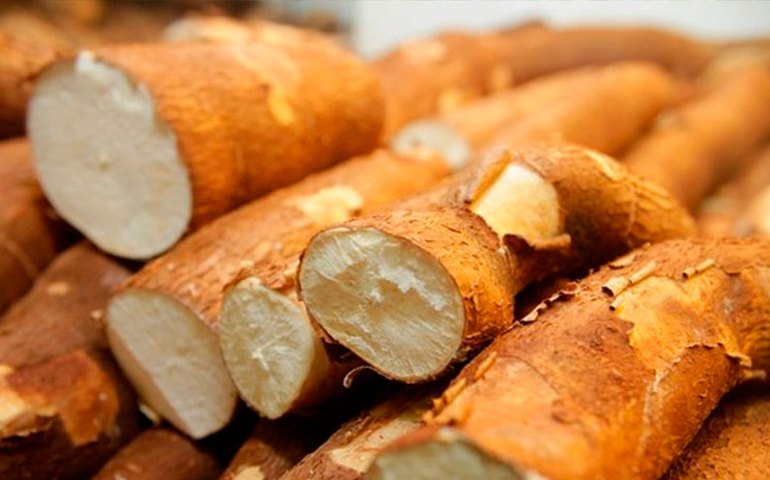 Coletiva sobre o Polo Agroalimentar acontece dia 20, em Arapiraca