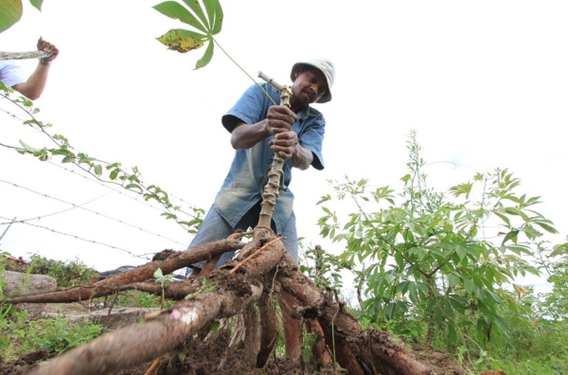 Associação de produtores de Girau do Ponciano recebe apoio técnico
