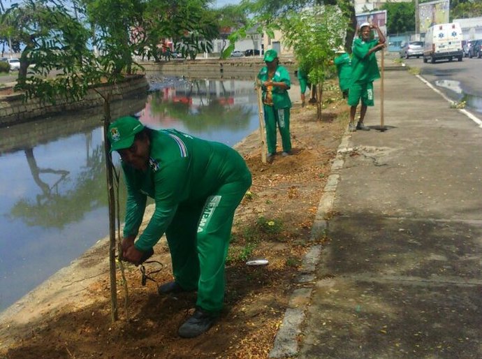 Semds inicia arborização no entorno do Riacho Salgadinho