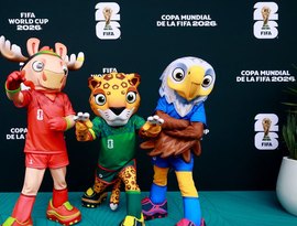 Mascotes do Mundial incluem águia-careca, espécie salva da extinção