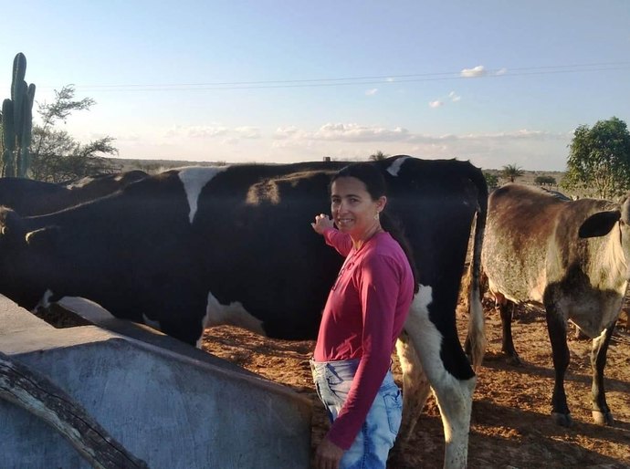 Produção de leite em Sergipe é a que mais cresce no Nordeste