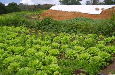 Governo distribui equipamentos que beneficiarão mil agricultores familiares