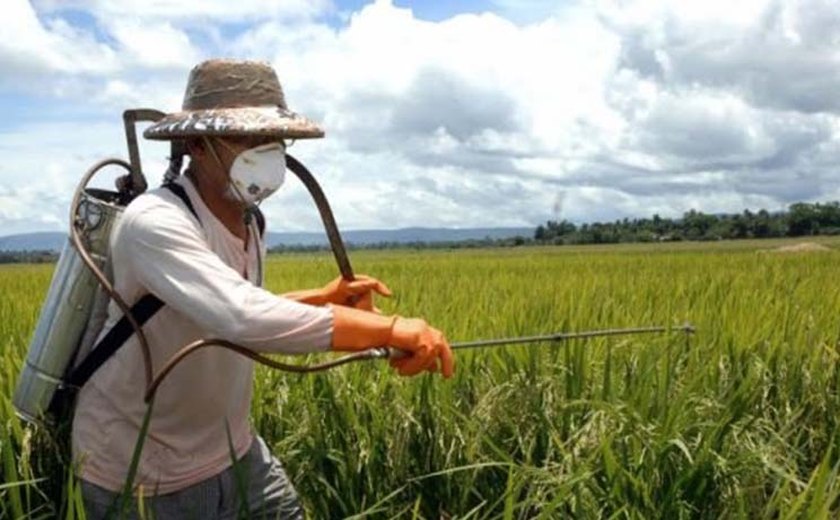MP lança campanha “Transição Legal” para garantir probidade administrativa nos Municípios