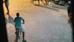 confusãi em laranjeirass