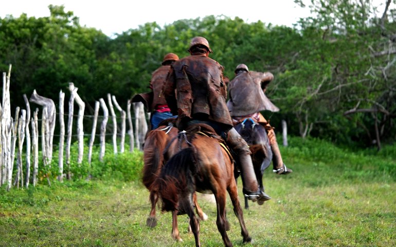 I Vaquejada de Pega de Boi no Mato promete movimentar Pão de Açúcar com cultura, esporte e música sertaneja