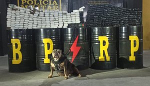 Foto: PMSE / Foto: Foto: PMSE