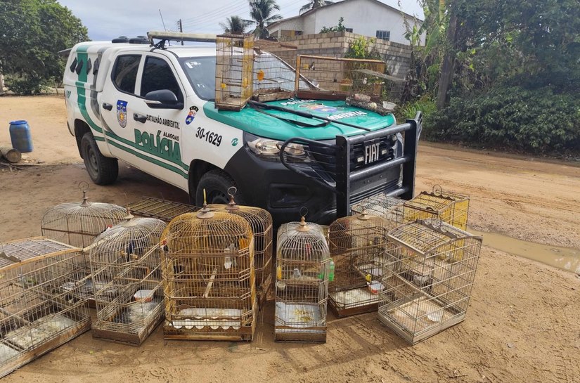 Operação Onda Verde da PM apreende aves silvestres e arma de fogo no interior