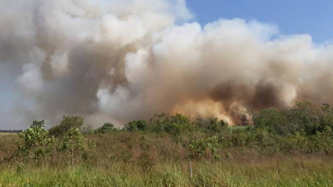 Queimadas já consumiram 1,2 milhão de hectares de vegetação no Pantanal