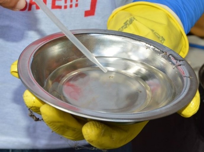 Saúde realiza trabalho de campo para combate ao aedes aegypti em Maceió