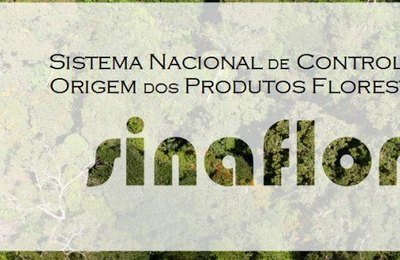 Ibama orienta gestores sobre novo procedimentos