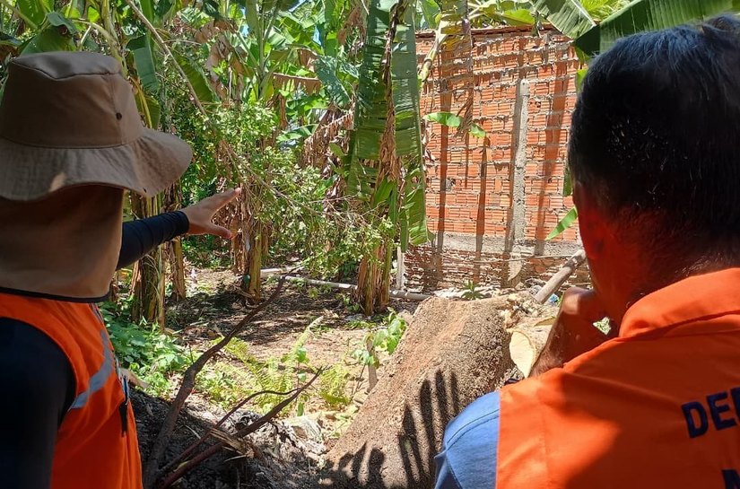 Análise técnica da Defesa Civil reforça prevenção de acidentes causados por árvores