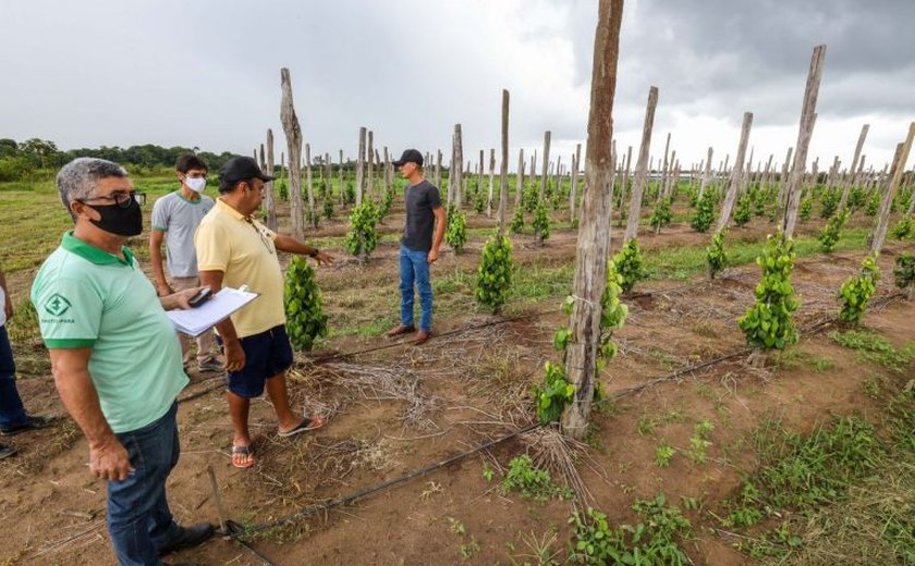 Comissão debate a Política Nacional de Assistência Técnica e Extensão Rural