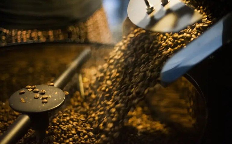 Pesando no bolso: parlamentar dos EUA diz que vai apresentar projeto de lei para isentar café de tarifa