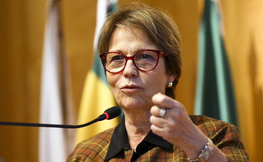 Ministra diz que PL de regularização fundiária dará mais controle sobre Amazônia