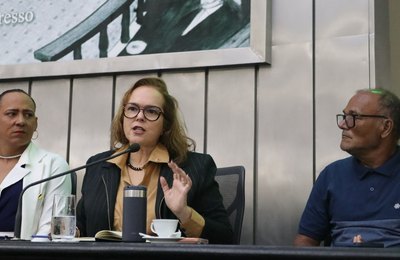 MPAL aponta falhas e ações cruciais que podem garantir implementação efetiva da Lei Antimanicomial e da Política de Saúde Mental durante sessão pública na ALE