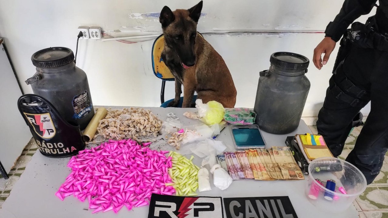 Polícia Militar apreende três armas de fogo e drogas em ações ostensivas no interior