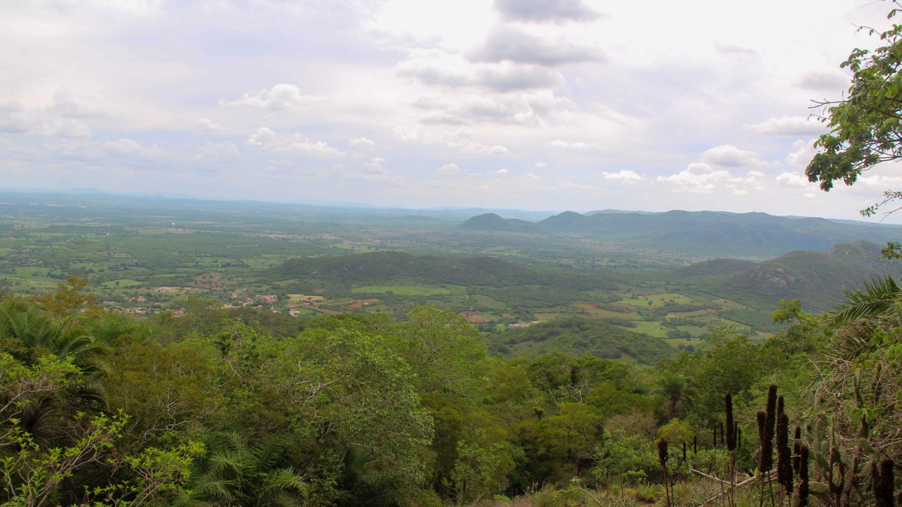 Mês do Meio Ambiente: Videoaulas levam educação ambiental para a população e mostram as belezas de Alagoas