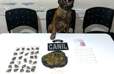 Polícia Militar apreende quatro armas de fogo e drogas no interior de Alagoas