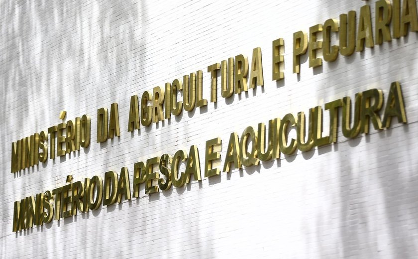 Solar garante que atende a 'altos padrões produtivos internacionais' e cita certificações