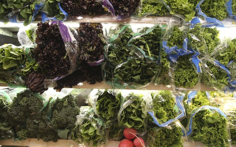 Viva Maria aborda importância de uma alimentação segura para a saúde