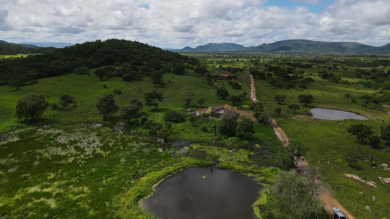 Dia Nacional da Caatinga é celebrado com ações no Sertão de Alagoas