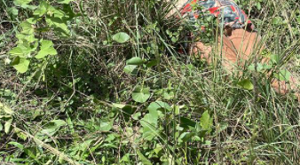 Mulher é encontrada morta em matagal no município de Itabaiana