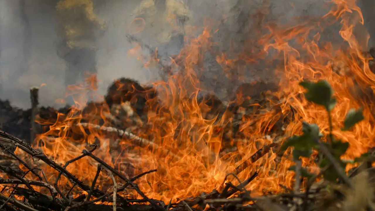 Giro Internacional: Nos EUA os incêndios florestais estão sem controle