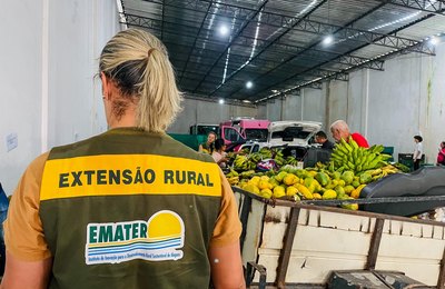 Emater e Fapeal lançam edital para bolsas de extensão em diversas áreas