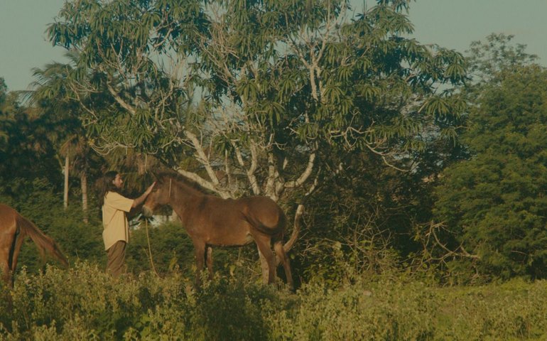 Mago Véio lança “Toada a Galope”, videoclipe inspirado em sonho e memória afetiva no Agreste alagoano