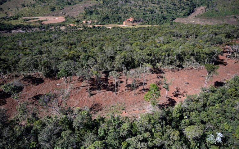 China compra quase metade da soja colhida em áreas desmatadas na Mata Atlântica